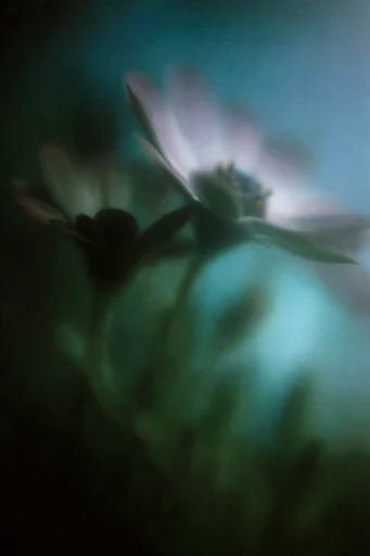 Ethereal Nocturnal Haze style reference image — painterly blur