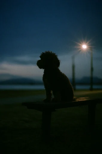 Luminous Nocturnal Surrealism style reference image — dreamlike nocturnal atmosphere
