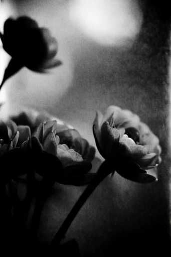 Gritty Spectral Noir style reference image — noir atmosphere