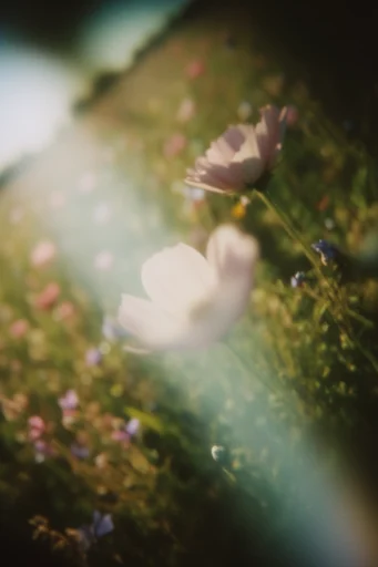 Ethereal Analog Nostalgia style reference image — muted nostalgic color palette