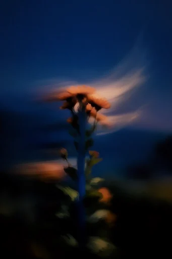 Luminous Nocturnal Chiaroscuro style reference image — minimalist nocturnal landscape