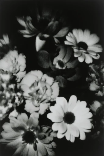 Cinematic Monochrome Noir style reference image — dramatic shadows