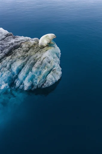 Minimalist Oceanic Solitude style AI image example 3