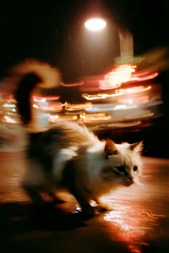 Cinematic Amber Nocturne style reference image — lo-fi film grain