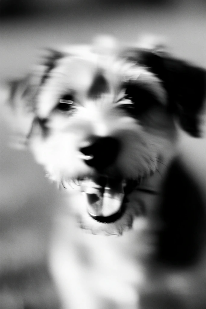 Ethereal Monochrome Motion style AI image example 3