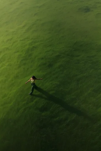Tactile Emerald Minimalism moodboard — generate AI images in this style