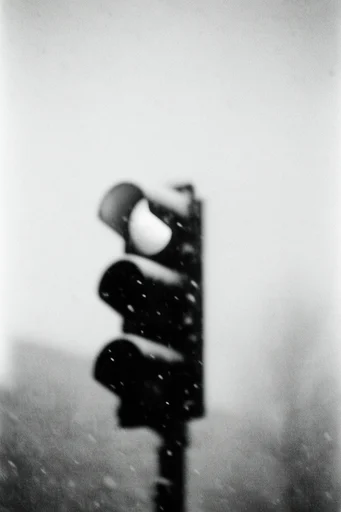 Ethereal Monochrome Noir style reference image — heavy tactile film grain