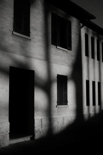Stark Geometric Chiaroscuro style AI image example 4