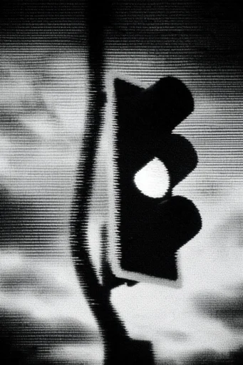 Monochrome Analog Glitch style reference image — high-contrast noir