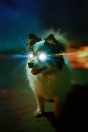 Cinematic Luminescent Nocturne style reference image — shimmering reflective textures
