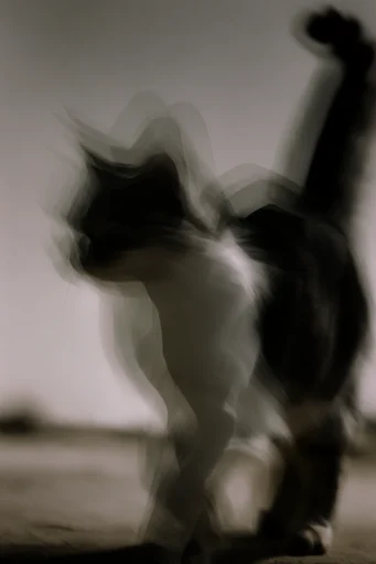 Ethereal Kinetic Minimalism style reference image — multiple exposure