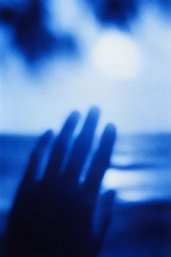 Spectral Indigo Noir style reference image — soft-focus ethereal blur