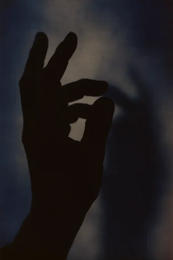 Cinematic Shadow Noir style reference image — stark silhouette