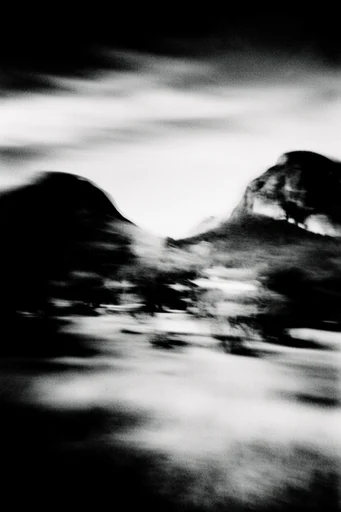 Kinetic Spectral Noir style reference image — high-contrast monochrome