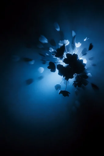 Bioluminescent Abyssal Noir style reference image — low-key photography