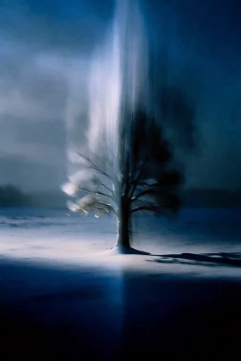 Ethereal Nocturnal Noir style reference image — cyan halation