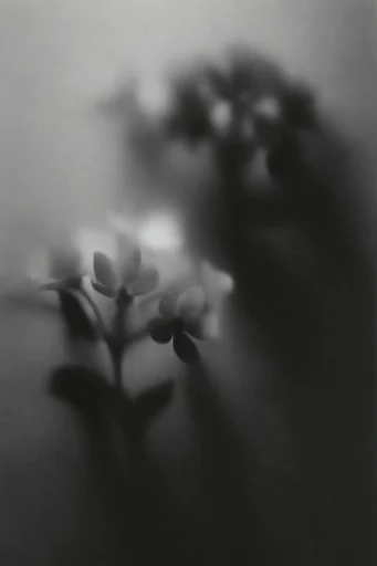 Spectral Monochrome Motion style reference image — dreamlike haze