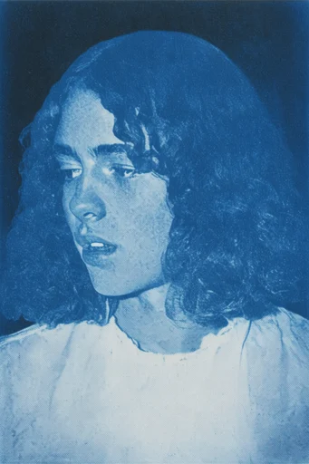 Nocturnal Cyanotype Dreamscape moodboard — generate AI images in this style