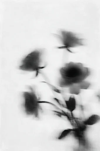 Ethereal Monochrome Motion style reference image — stark white background