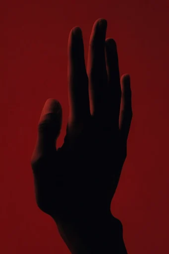 Crimson Noir Minimalism style reference image — crimson red and black