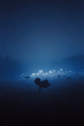 Cinematic Nocturnal Minimalism style reference image — minimalist liminal space