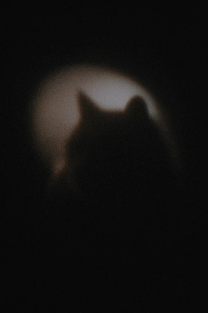 Ethereal Nocturnal Minimalism style AI image example 3