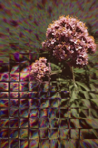 Fragmented Neon Surrealism style reference image — mixed-media collage