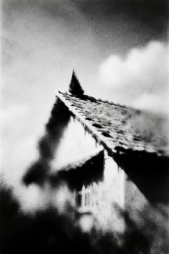 Ethereal Monochrome Noir style reference image — atmospheric blur