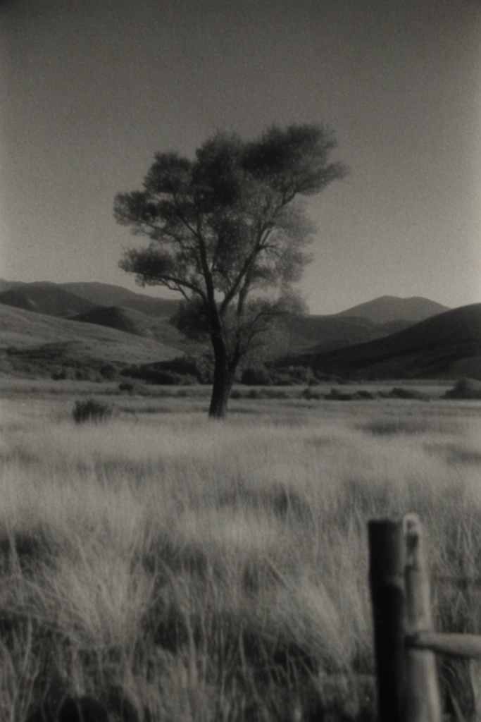Raw Monochrome Analog style AI image example 2