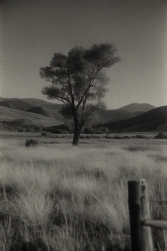 Raw Monochrome Analog style AI image example 2