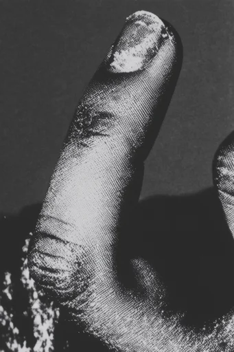 Gritty Monochrome Brutalism style reference image — stippled ink spray