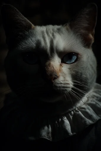 Visceral Chiaroscuro Realism style reference image — cinematic shadows