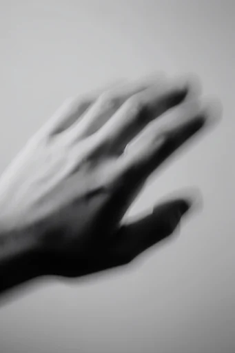 Ethereal Kinetic Monochrome style reference image — high-contrast monochrome