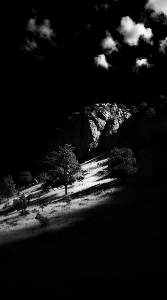 A rugged rock face rising above a grassy hillside dotted with scattered trees, depicted in an extreme low-key, high-contrast black and white photographic style. The scene is dominated by vast, pure black negative space, with the landscape elements sharply illuminated by a single, intensely bright, narrow beam of directional light striking from the side. This harsh lighting vividly emphasizes the jagged textures of the stone and the textured forms of the grass and trees, casting long, stark black shadows before the forms abruptly disappear into impenetrable darkness. Above, a few scattered clouds are rendered as crisp, brilliant white highlights suspended within the deep, pitch-black void of the sky. The minimalist composition utilizes dramatic chiaroscuro, creating a moody, profound interplay between the blazing, selective exposure of the natural terrain and the heavy, all-consuming blackness surrounding it.