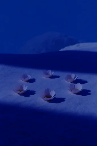 Monochromatic Glacial Minimalism style reference image — liminal space