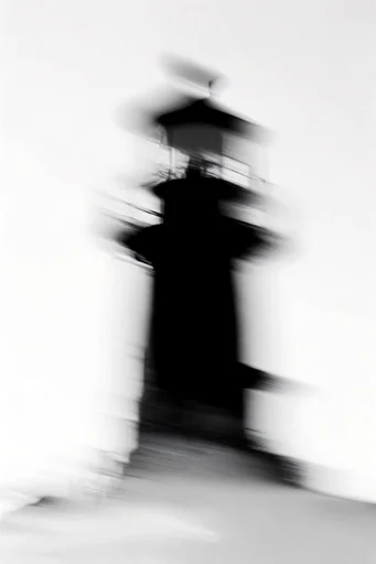 Ethereal Kinetic Monochrome style reference image — grainy film texture