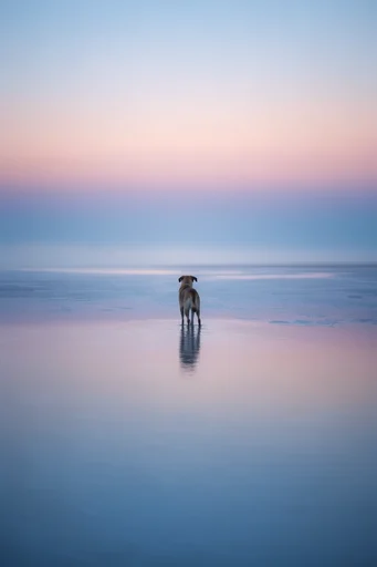 Ethereal Pastel Minimalism style reference image — surreal tranquility