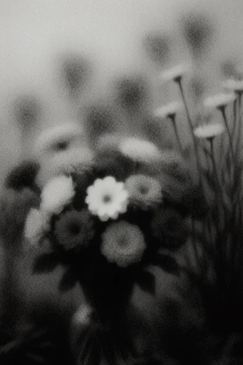 Ethereal Monochrome Noir style reference image — diffused misty lighting