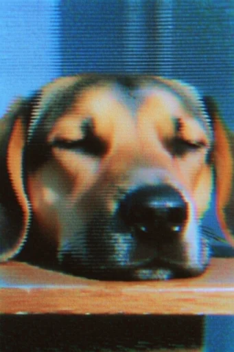 Analog Glitch Nostalgia style reference image — low-resolution texture