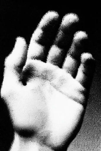Gritty Alpine Noir style reference image — heavy film grain