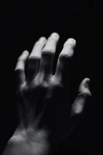 Cinematic Chiaroscuro Noir style reference image — pure black background