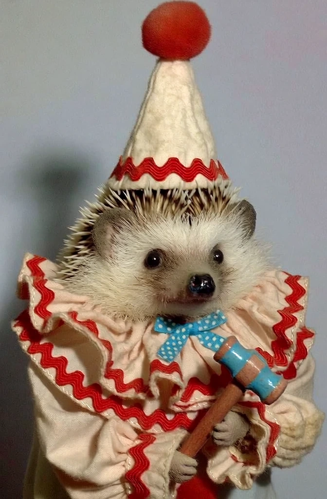 close-up studio portrait of a realistic hedgehog in a vintage clown costume, holding a miniature wooden hammer, wearing a tall cream-colored cone hat with a red pom-pom and red rickrack trim, a multi-layered ruffled cream fabric collar with matching red rickrack borders and a small blue polka-dot bow, kitsch taxidermy aesthetic, muted vintage color palette of off-white and dusty red, soft direct lighting, flat neutral gray background, uncanny 1970s toy photography style.