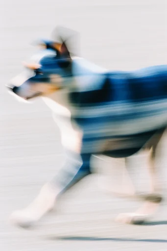 Ethereal Kinetic Motion style reference image — fluid dynamics