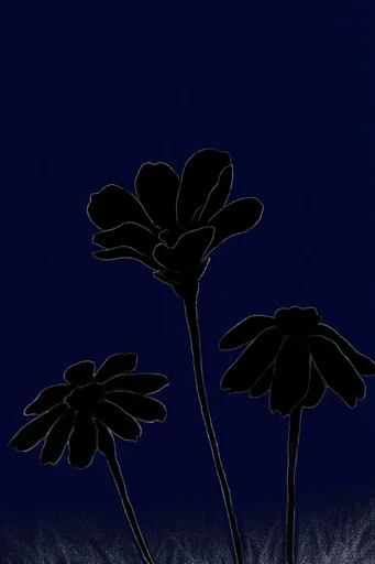 Celestial Nocturnal Minimalism style reference image — fine grain texture