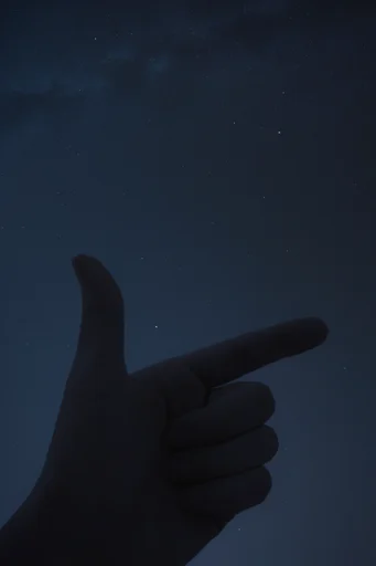 Nocturnal Celestial Minimalism style reference image — starry night sky