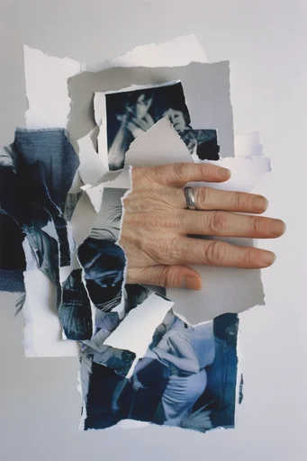 Tactile Deconstructed Collage style reference image — analog halftone texture