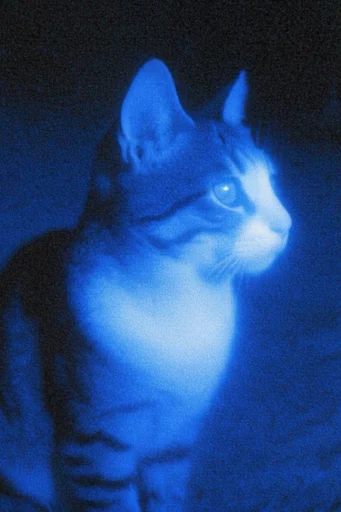Luminous Cyan Nocturne style reference image — submerged dreamscape