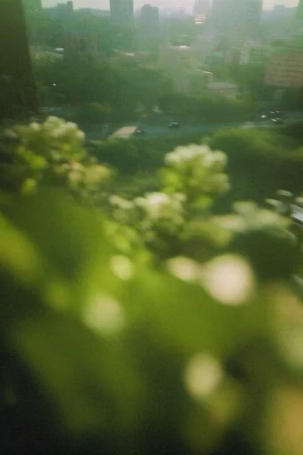 Ethereal Impressionist Motion style reference image — intentional camera movement