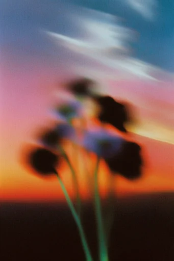Amber Twilight Liminality style reference image — dreamy sunset haze