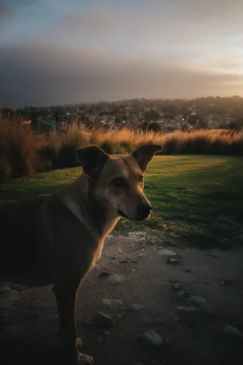 Atmospheric Cinematic Twilight style reference image — moody urban landscape